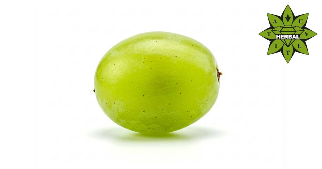 Грозде - Ползи, Лечебни Свойства, Рискове - Cvetita Herbal