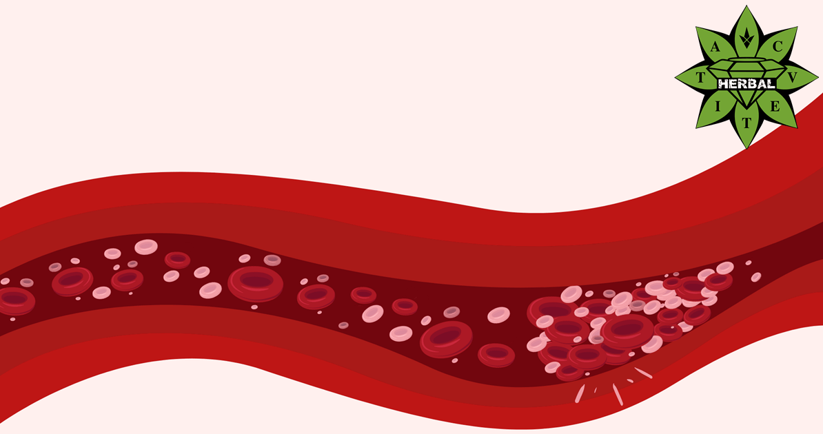 Храни и Добавки за Разреждане на Кръвта - Cvetita Herbal