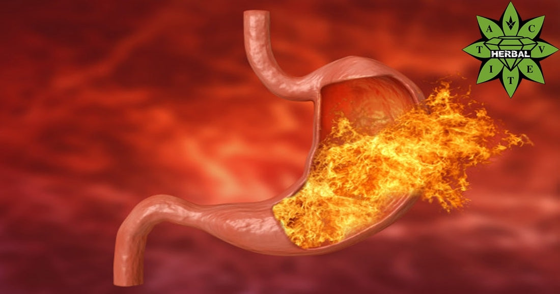 Киселини в Стомаха - Симптоми и Причини - Cvetita Herbal