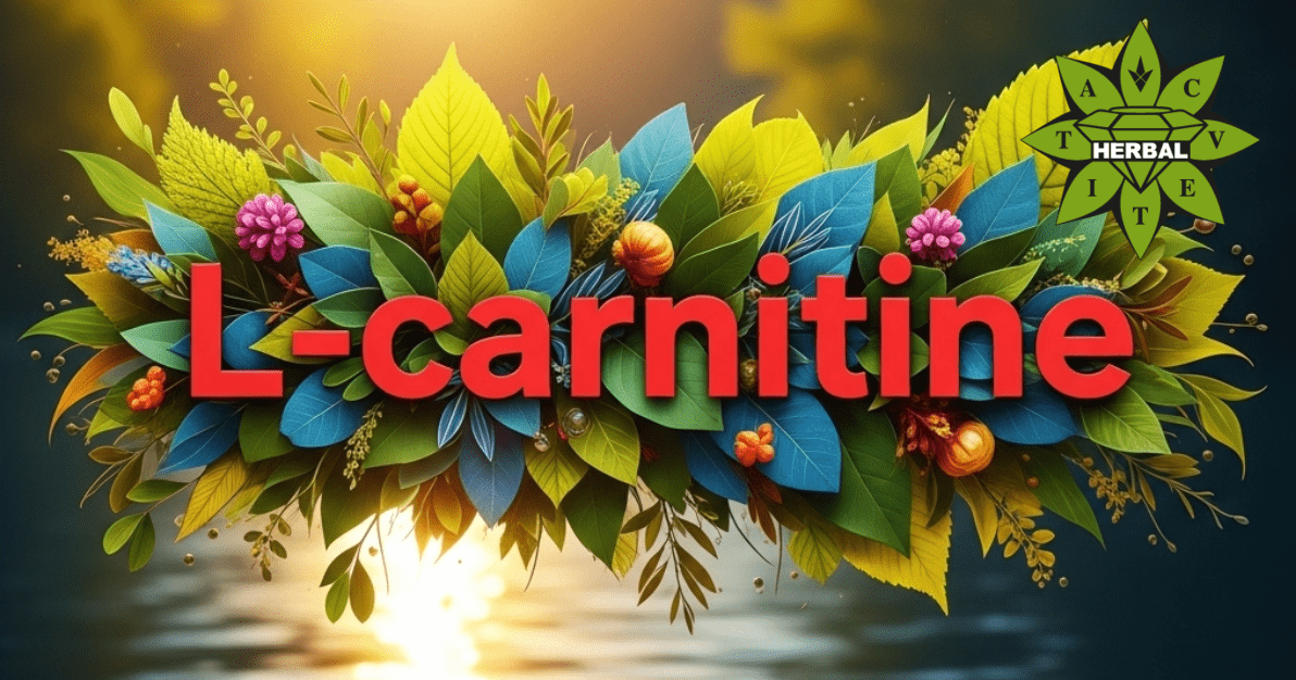 L-карнитин - Ползи и Лечебни Свойства - Cvetita Herbal