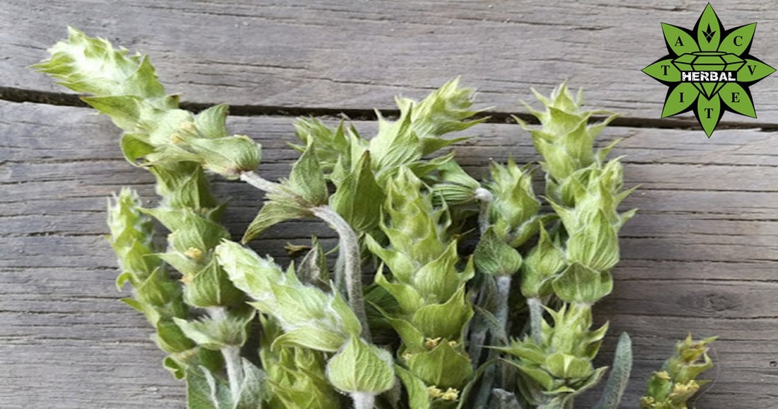 Мурсалски Чай - Ползи и Полезни Свойства - Cvetita Herbal