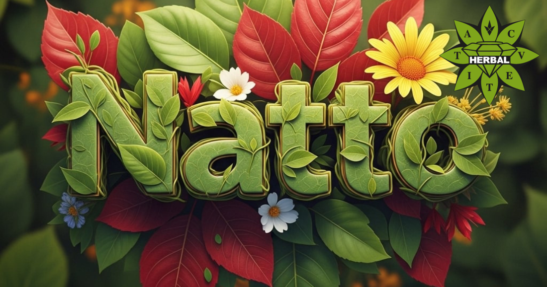 Натокиназа (Натто Киназа) - Ползи и Лечебни Свойства - Cvetita Herbal