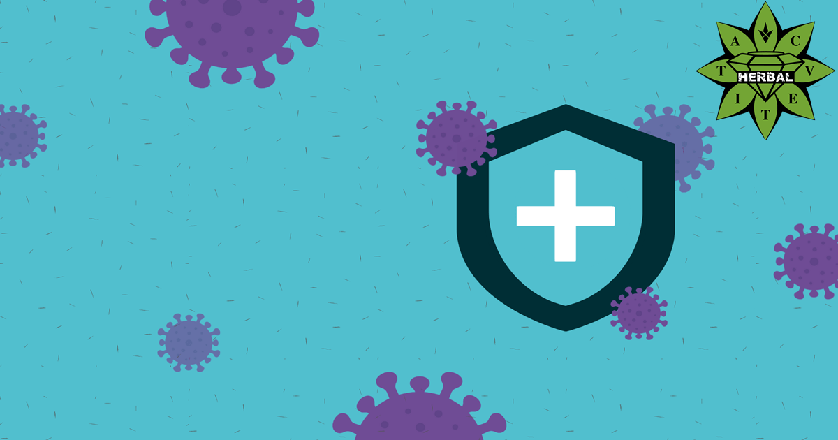 Придобит Имунен Отговор На Имунната Система - Cvetita Herbal