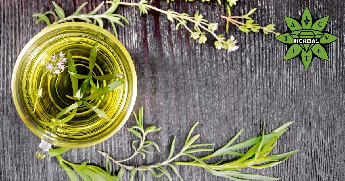 Розмарин - Ползи и Свойства - Cvetita Herbal