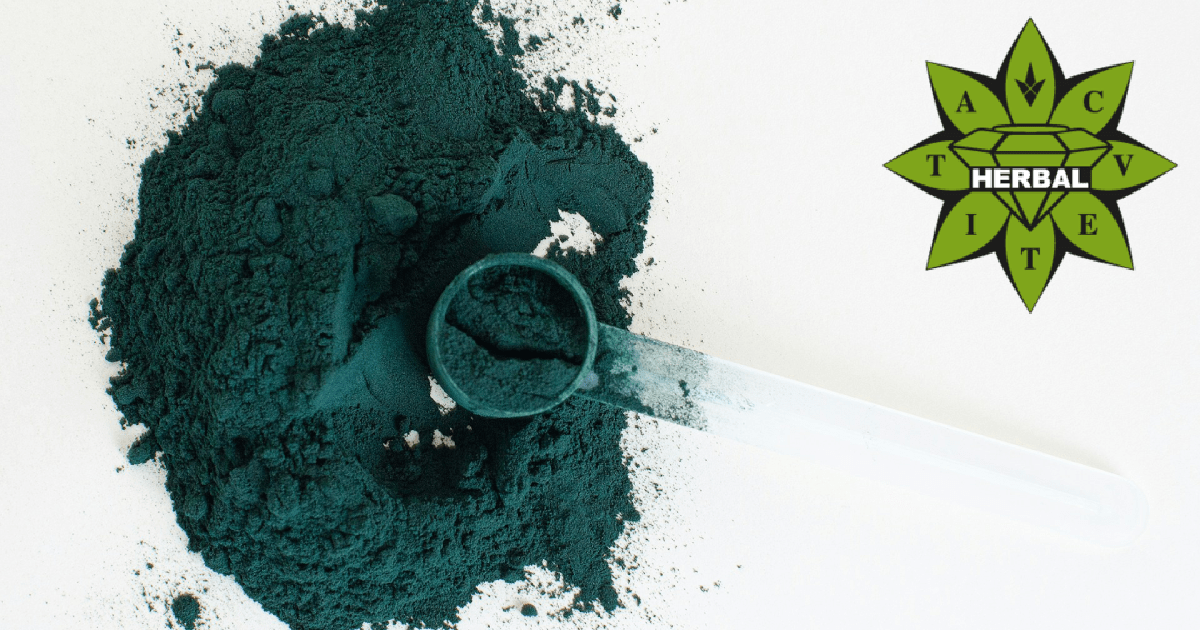Спирулина - Ползи и Лечебни Свойства - Cvetita Herbal