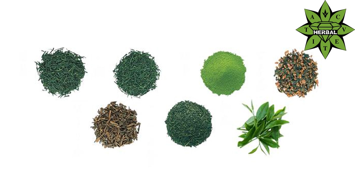 Видове Зелен Чай - Cvetita Herbal