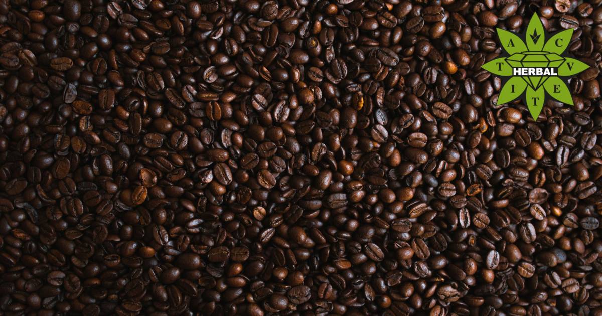 Всичко за Кафето - Ползи и Вреди от Кофеин - Cvetita Herbal