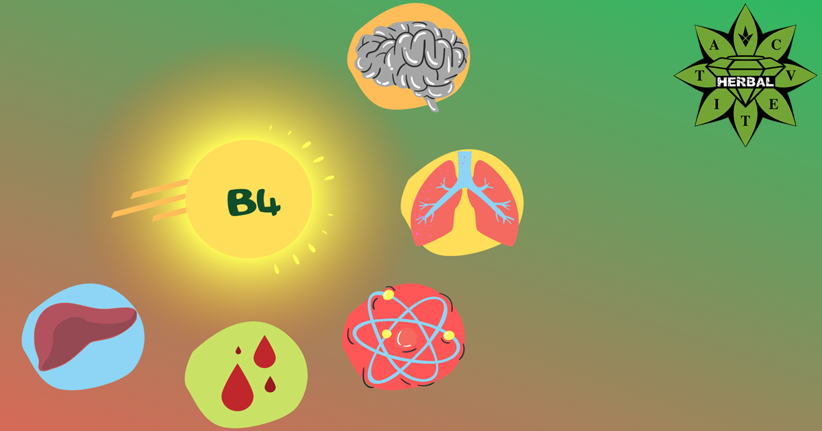 Витамин B4 – защо е толкова важен за организма?