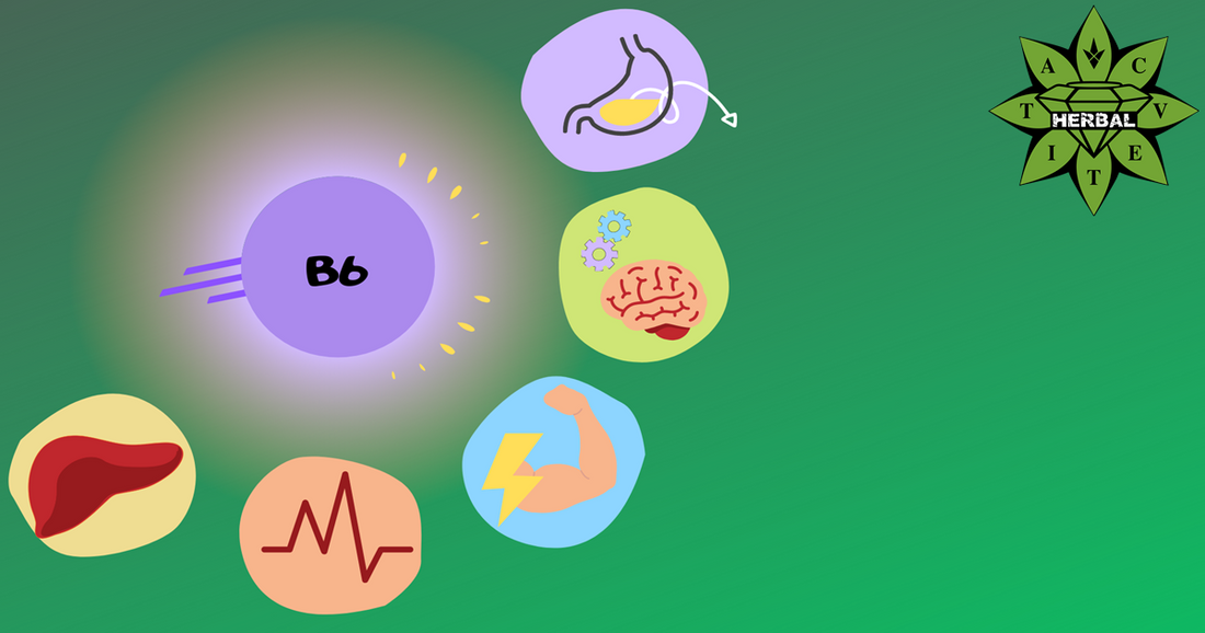 Витамин B6 – защо е толкова важен за организма?