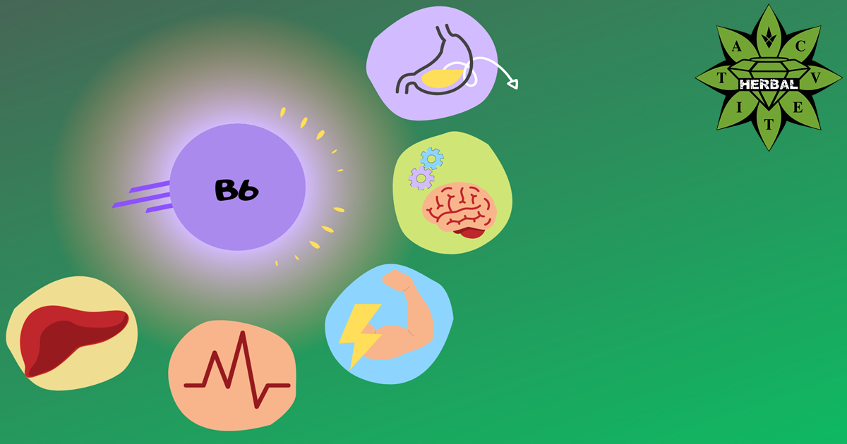 Витамин B6 – защо е толкова важен за организма?