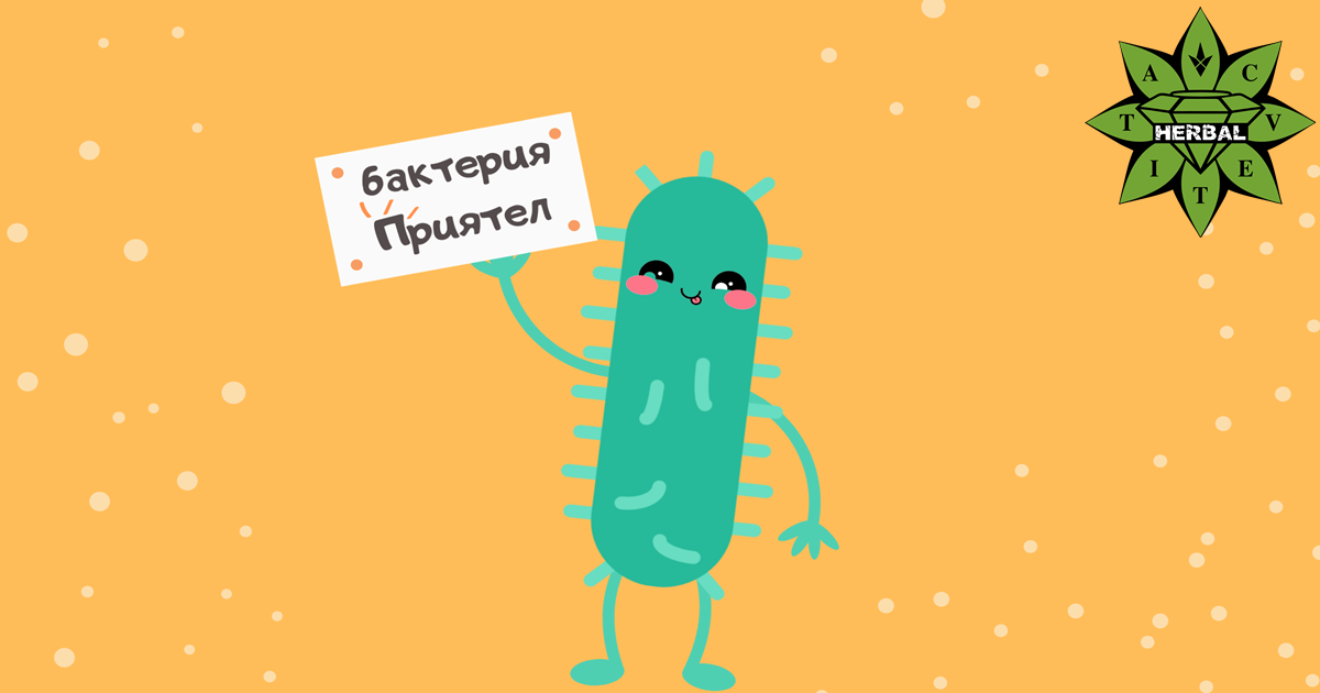 Бактериите в Човешкото Тяло