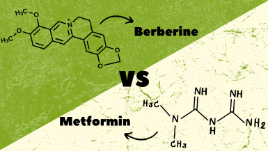 Берберин срещу Метформин