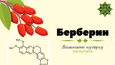 berberin - Cvetita Herbal