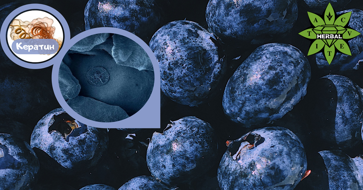 Как да Набавим Кератин?