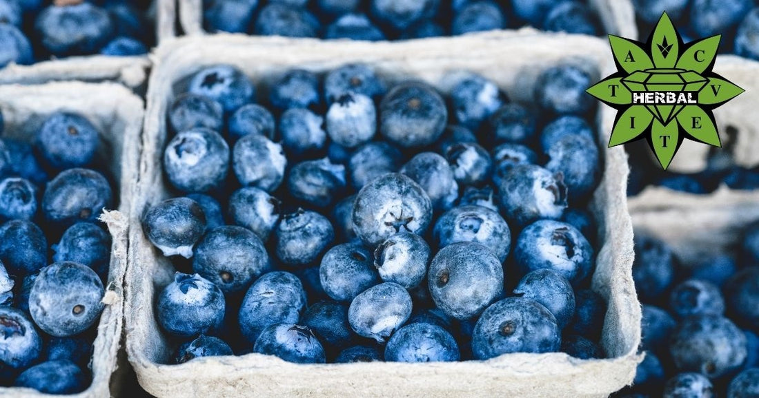 Боровинки - Ползи и Лечебни Свойства - Cvetita Herbal