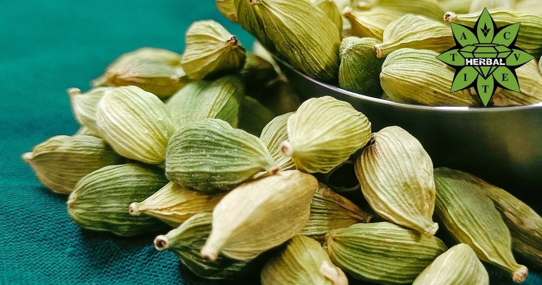 Кардамон (Царица на Подправките, Кардамом) - Ползи и Лечебни Свойства