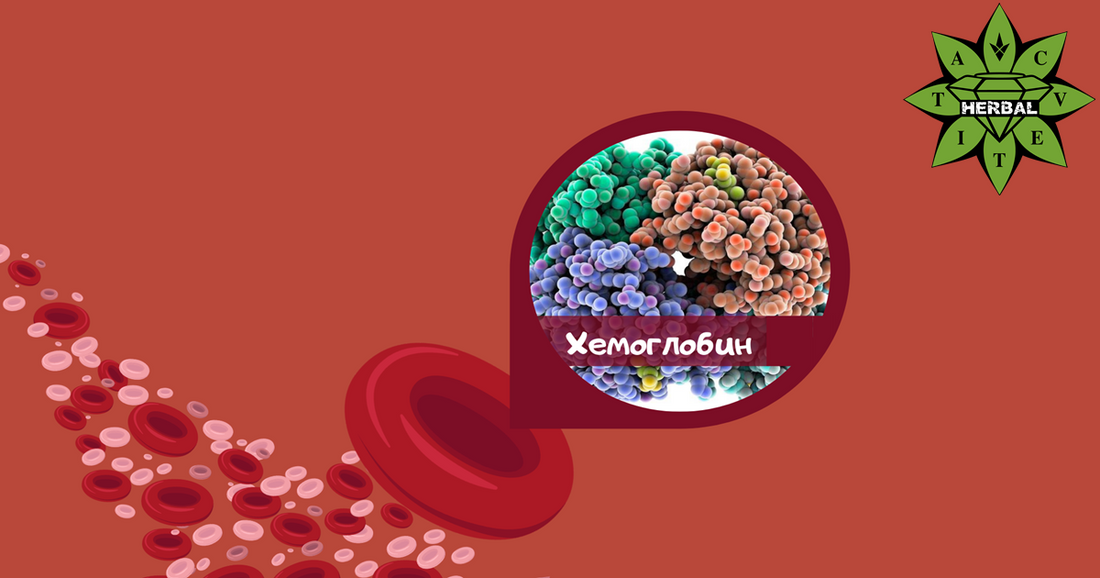 хемоглобин и еритроцити