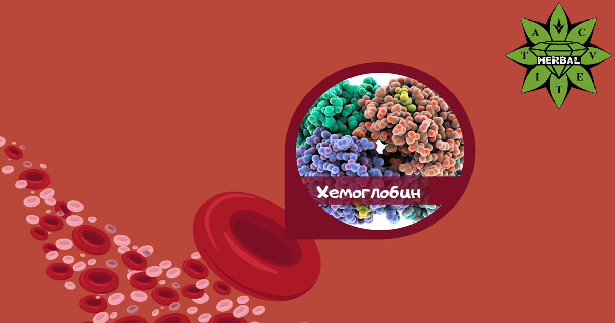 хемоглобин и еритроцити