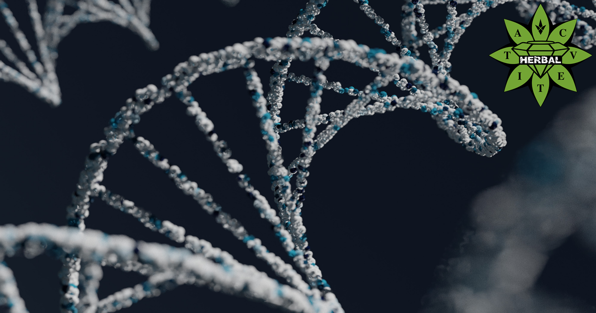 Магнезий с Витамин Б Kомплекс - Ползи и Лечебни Свойства