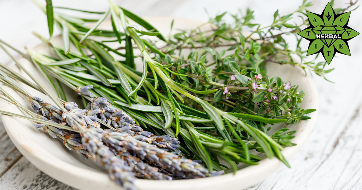 Билки Подобряващи Физическо и Психическото Благосъстояние - Cvetita Herbal