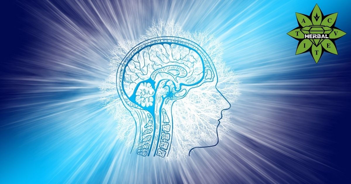 10 Начина да Набавим Допамин по Естествен Път