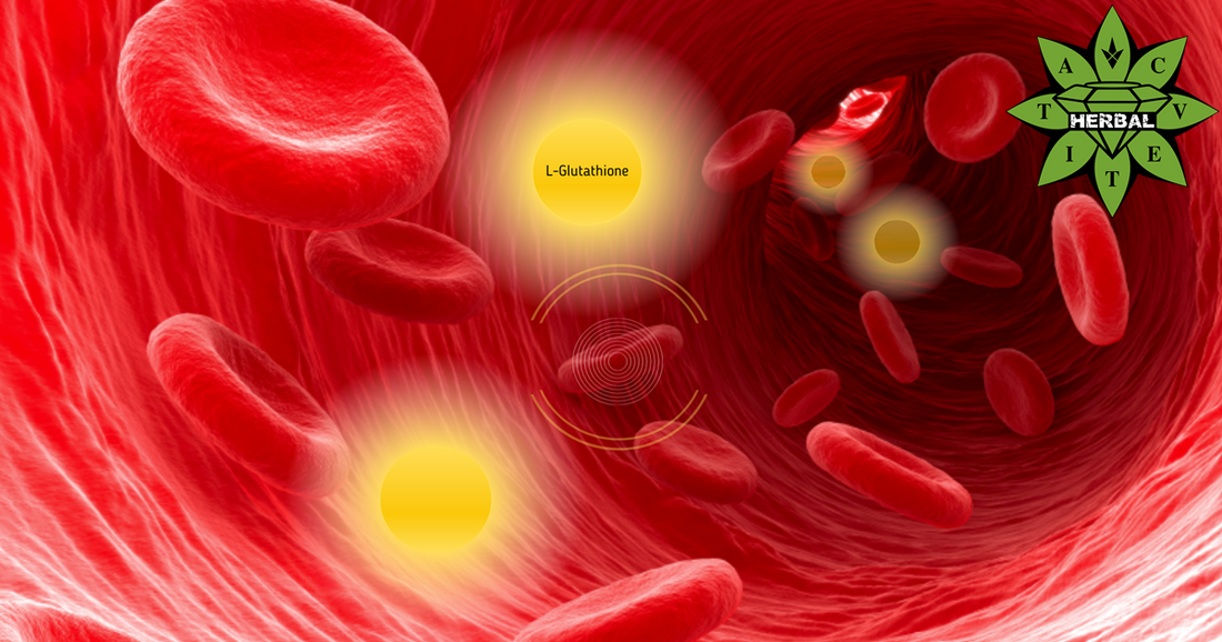 Глутатион (Л-глутатион, Елексир на Младостта) - Ползи и Лечебни Свойства - Cvetita Herbal