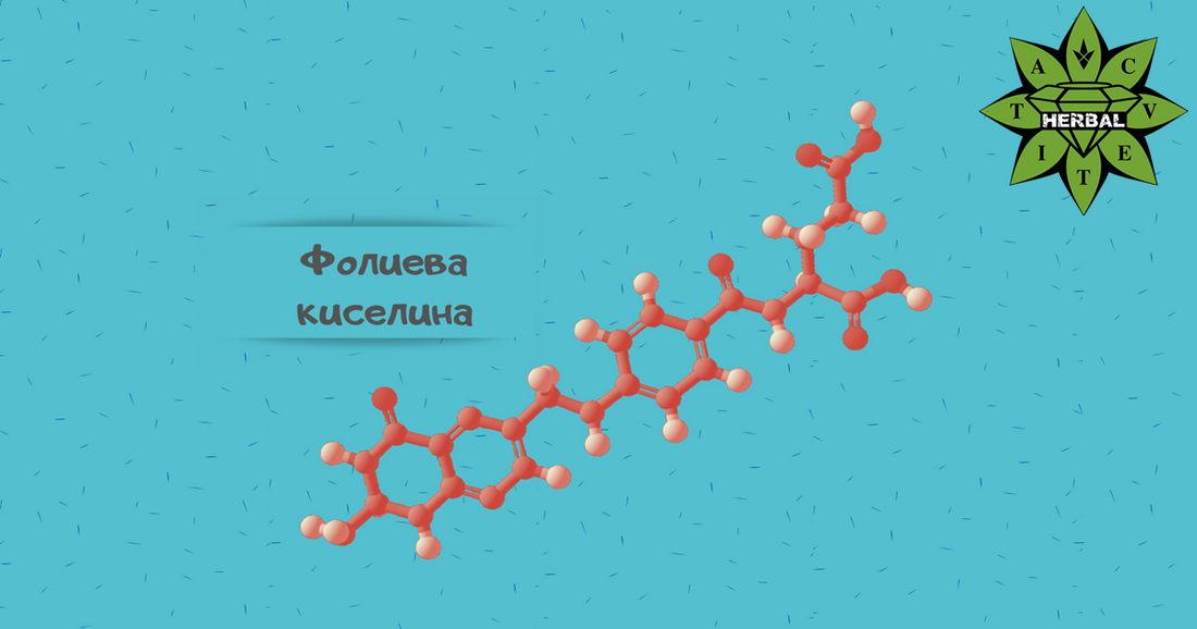 Фолиевата Киселина (Фолат, Фолацин, Витамин B9) - Ползи - Cvetita Herbal