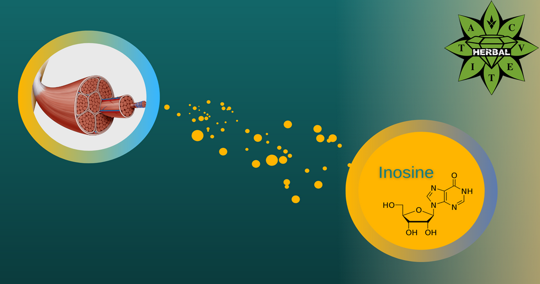 Инозин - Ползи, Действие, Странични Ефекти