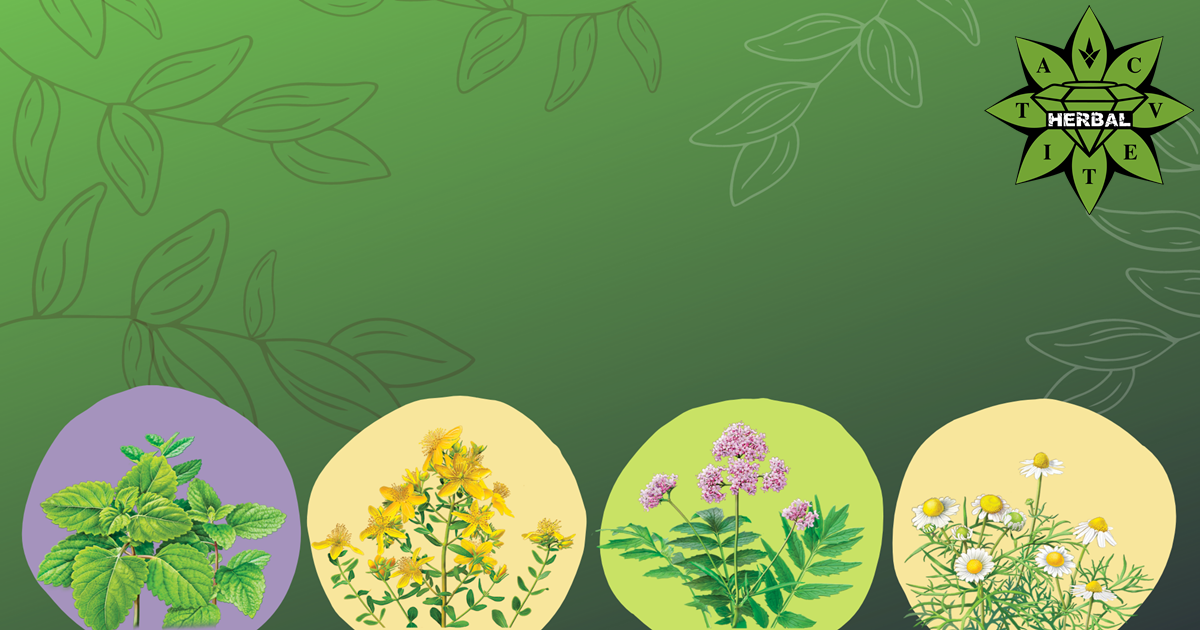 Билки Успокояващи Нервната Система