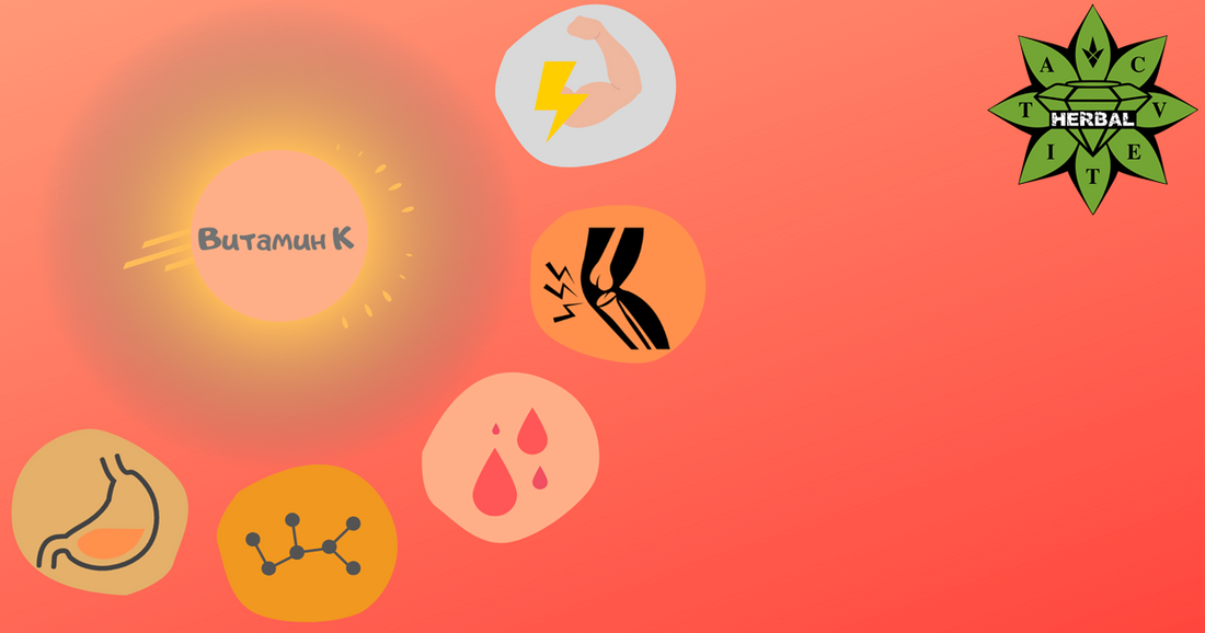 Витамин K (Филохинон, Пренилменахинон, Менадион) - Прием, Ползи и Дефицит - Cvetita Herbal