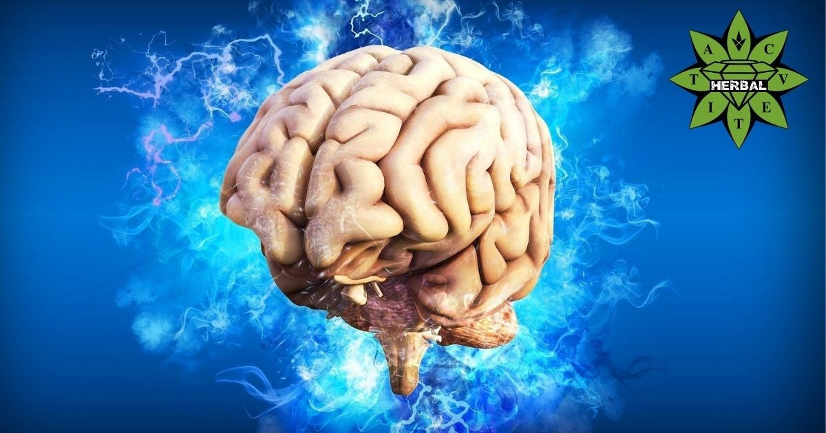 Витамини и Минерали за Мозъка (Памет, Концентрация)