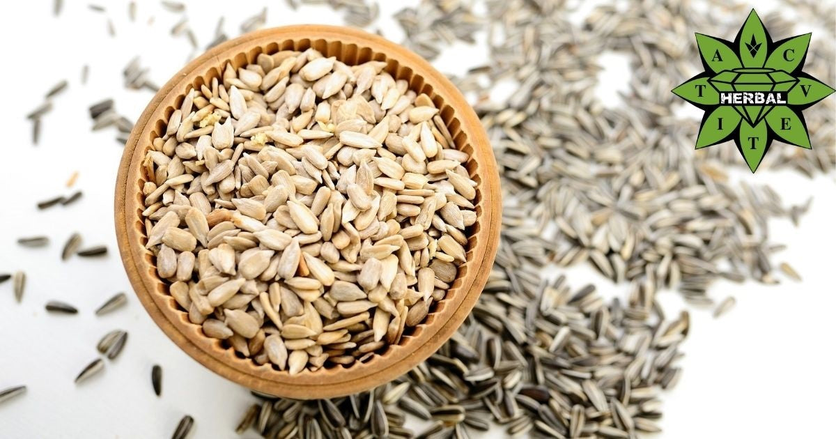 Слънчогледови Семки - Ползи и Свойства