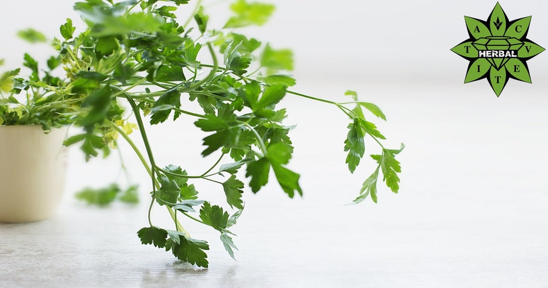 Ползи Магданоз