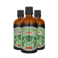 Екстракт Гинко Билоба – Ginkgo Biloba Max (100 ml) 2+1