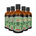 Екстракт Гинко Билоба – Ginkgo Biloba Max (100 ml) 3+2