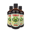 Трибулус Гинко Билоба - Tribulus Ginkgo (100 ml) 2+1