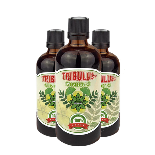 Трибулус Гинко Билоба - Tribulus Ginkgo (100 ml) 2+1