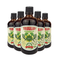 Трибулус Гинко Билоба - Tribulus Ginkgo (100 ml) 3+2