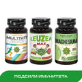 КОМБО ПАКЕТ ПОДСИЛИ ИМУНИТЕТА - ЛЕВЗЕЯ МАКС 60 ТАБЛ. + МУЛТИВИТ 365 + МАГНЕЗИЙ 30 ТАБЛ.
