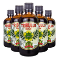Трибулус Макс - Течен Екстракт (100 ml)