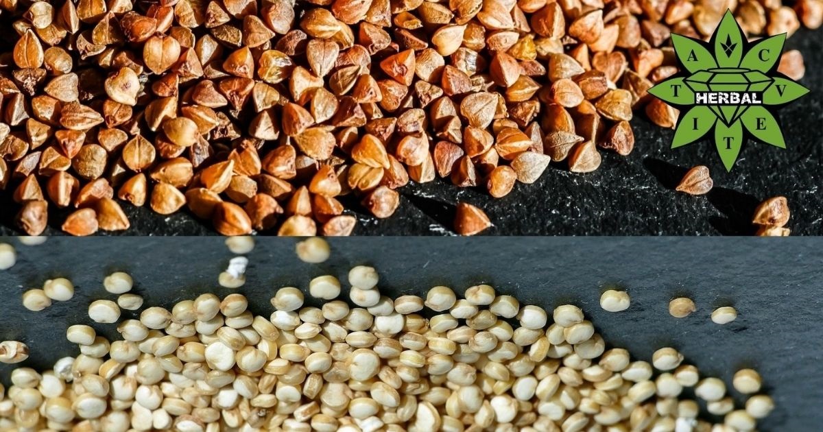 buckwheat quinoa